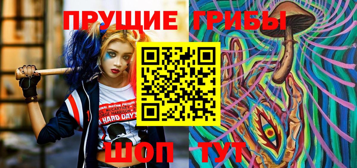 Галлюциногенные грибы Psilocybine cubensis Бугульма